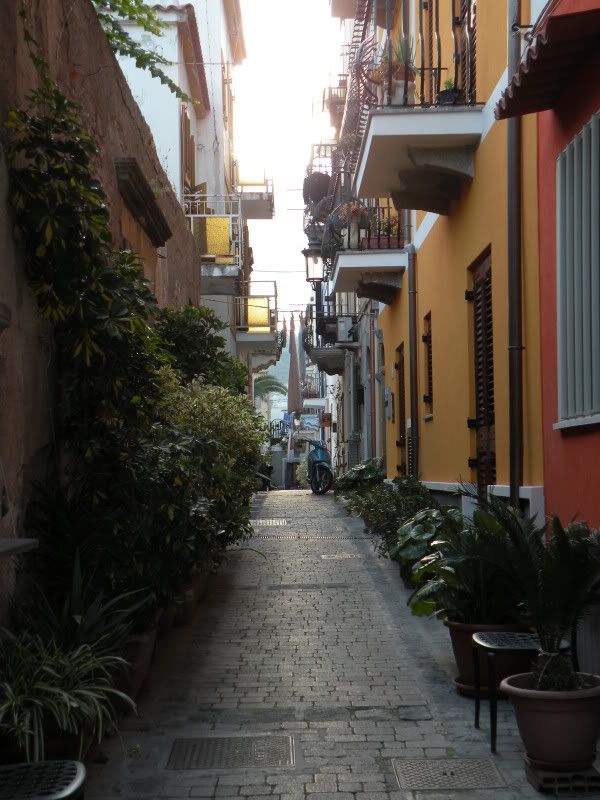 DSCN8094.jpg