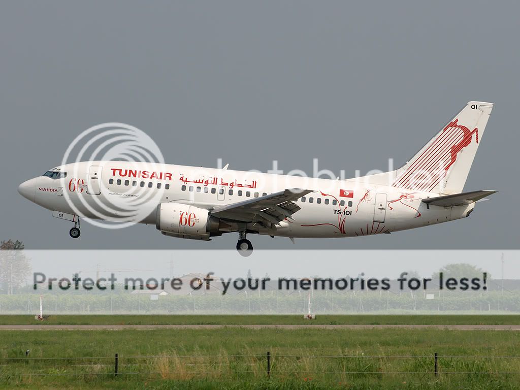 ts-ioi.jpg