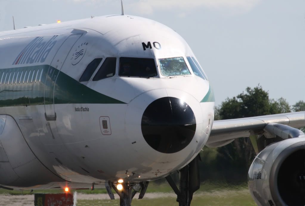 A319Alitalia.jpg
