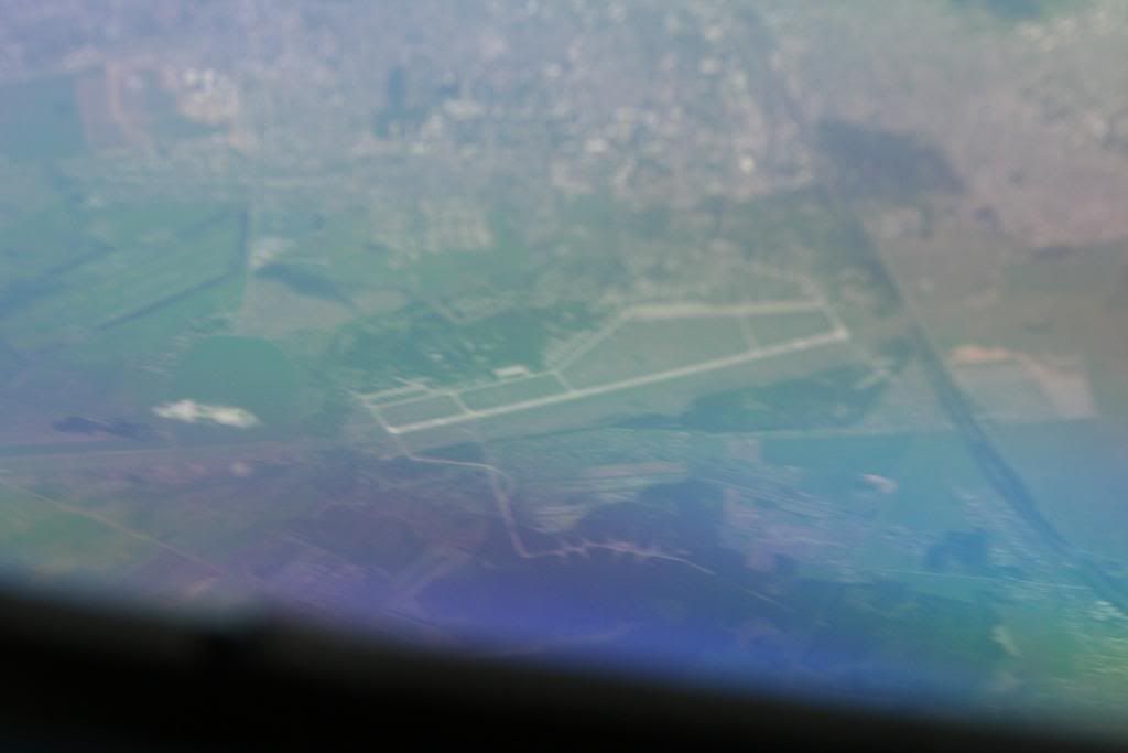 mosca44.jpg