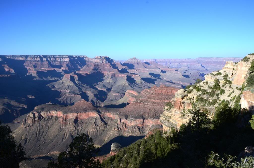 DSC_0623.jpg