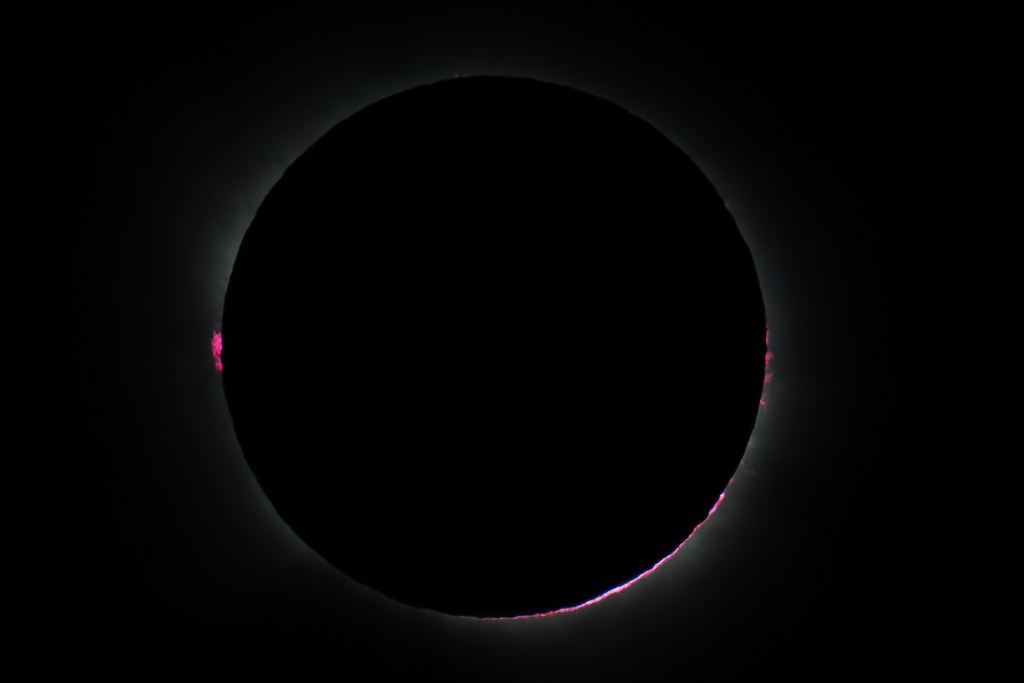 55467411113_16b2e3dbea_b.jpg