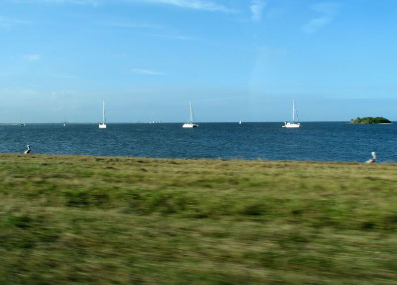 IMG_8612.jpg