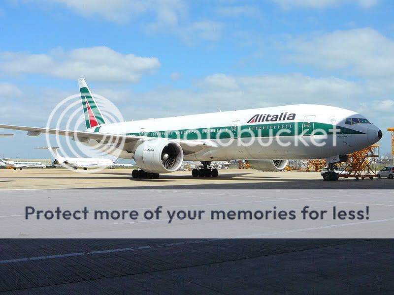 7771.jpg