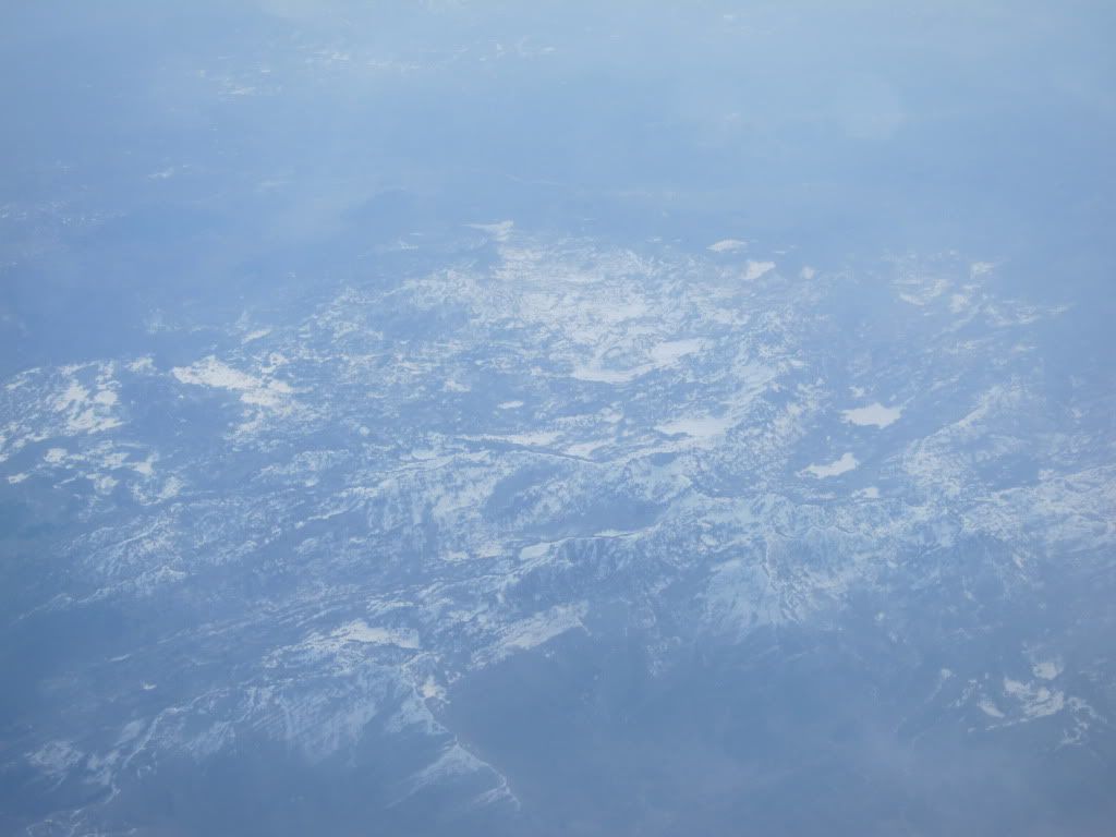 IMG_1985.jpg