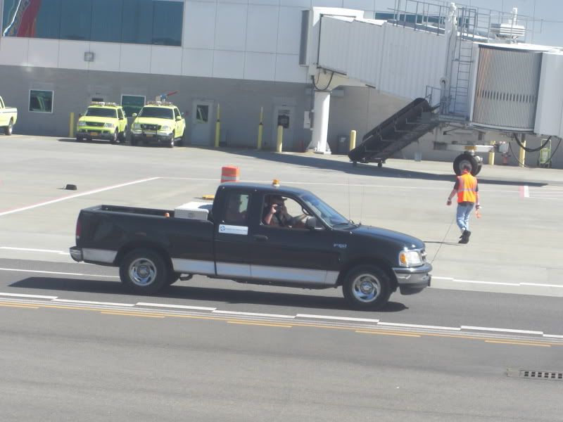 CIMG5017.jpg