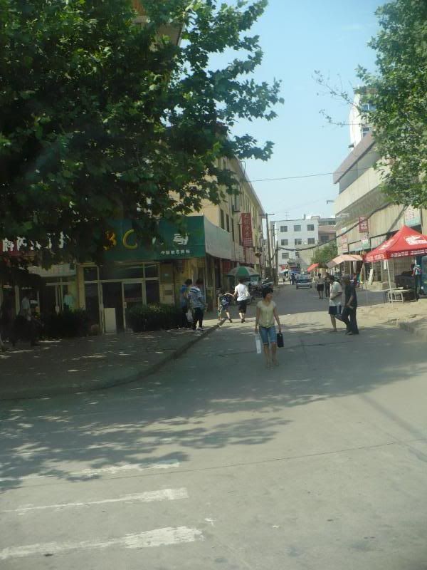 P1010563.jpg