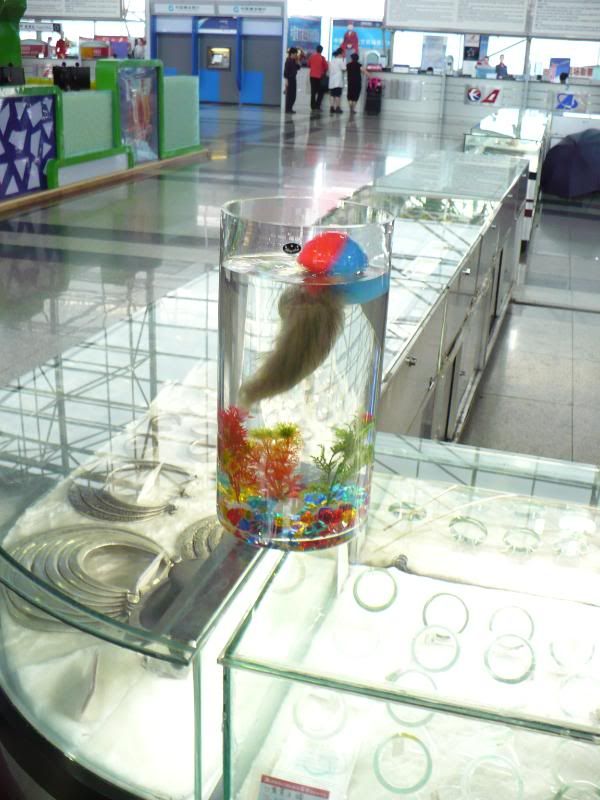 P1000889.jpg