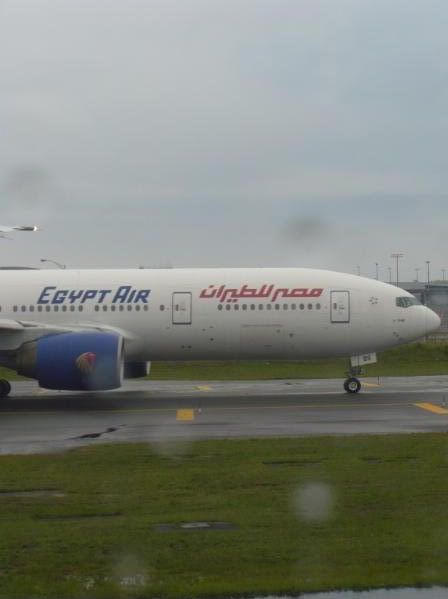 P1020159-1.jpg