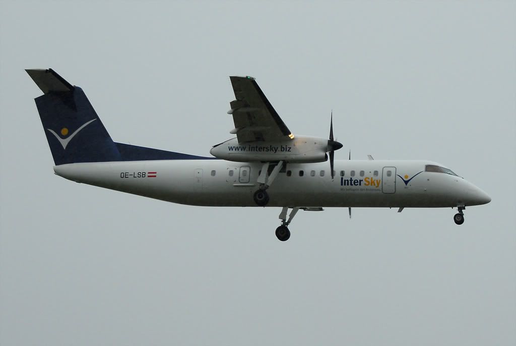 DSC_8989.jpg