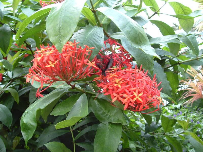 DSCF0644.jpg
