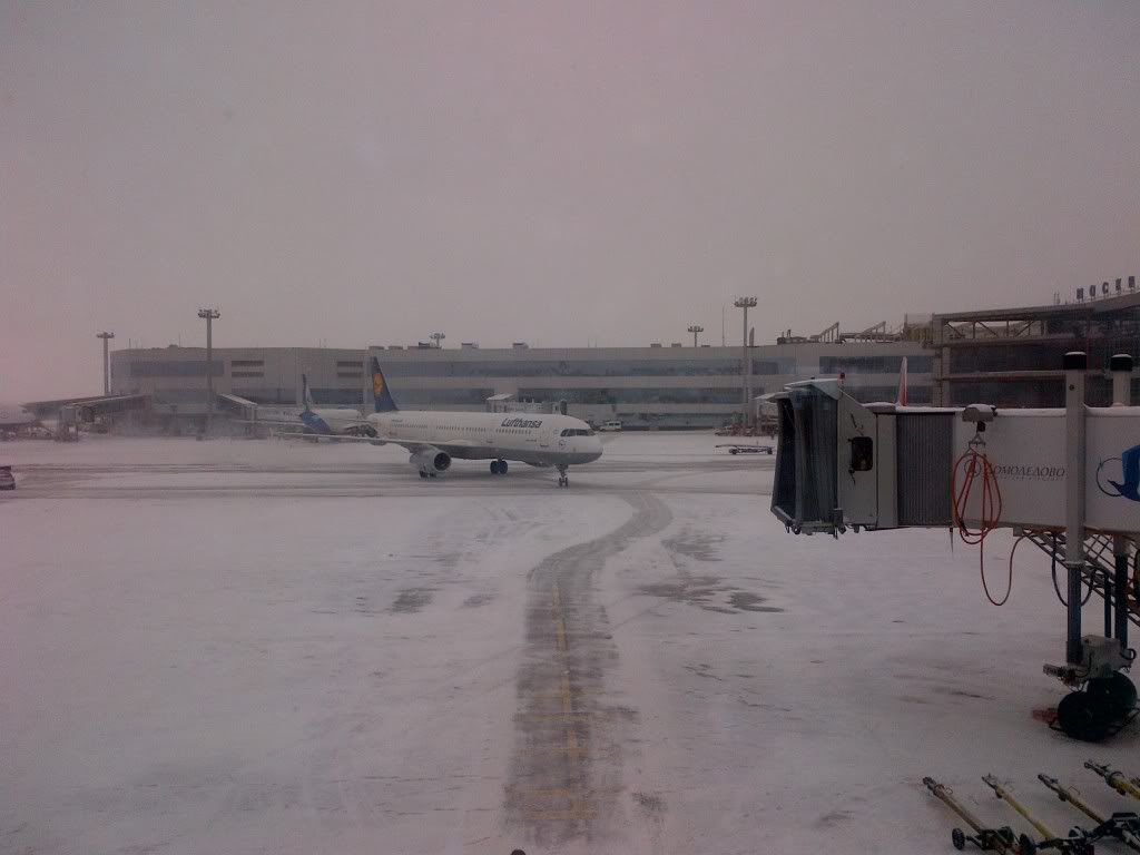IMG-20120216-00112.jpg