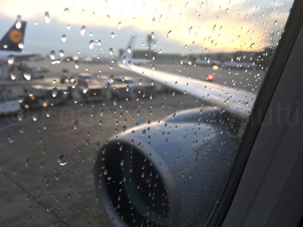 320NEO_062.jpg