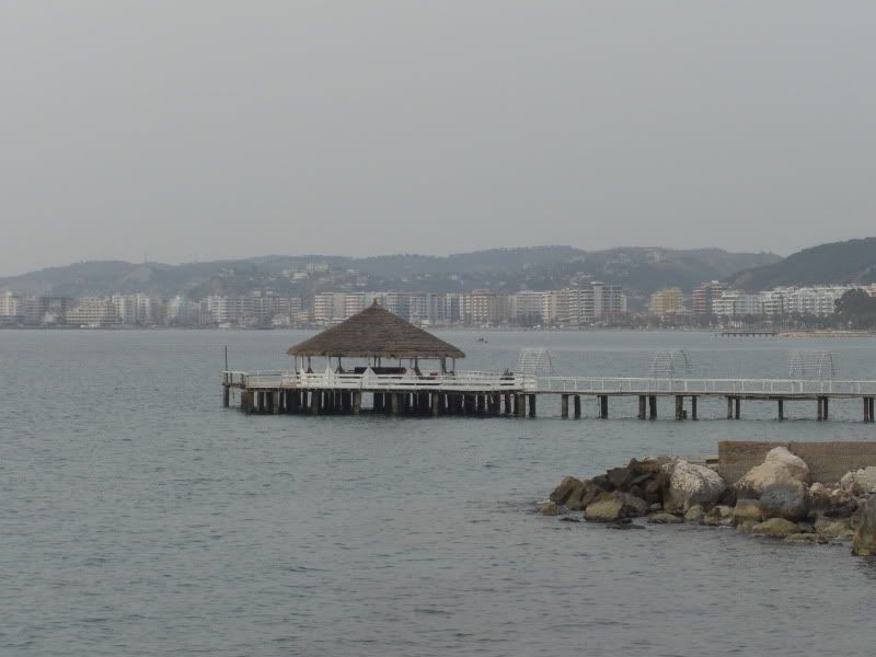 CIMG8128.jpg