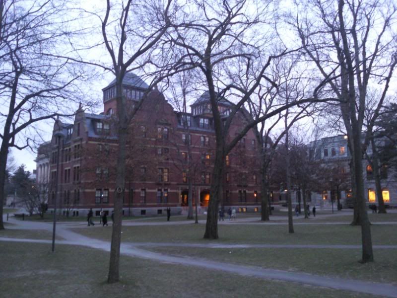19122009084.jpg