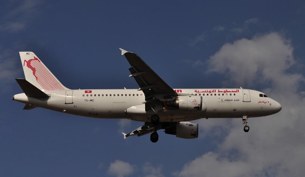 CSC_1422.jpg
