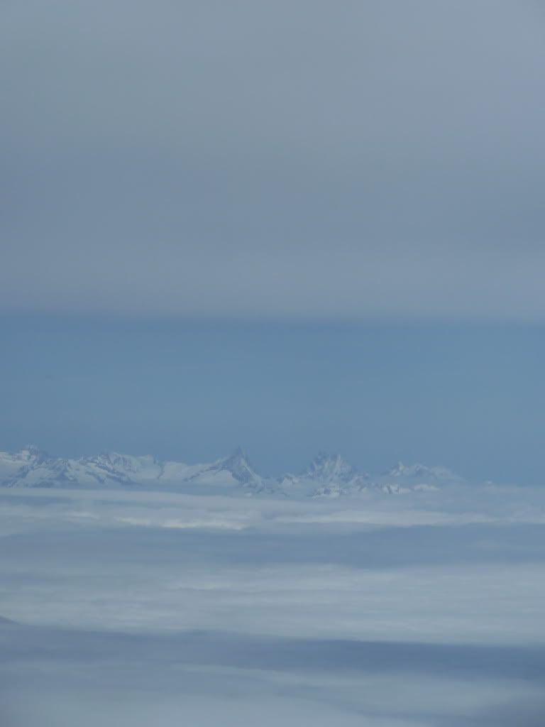 P1000242-1.jpg