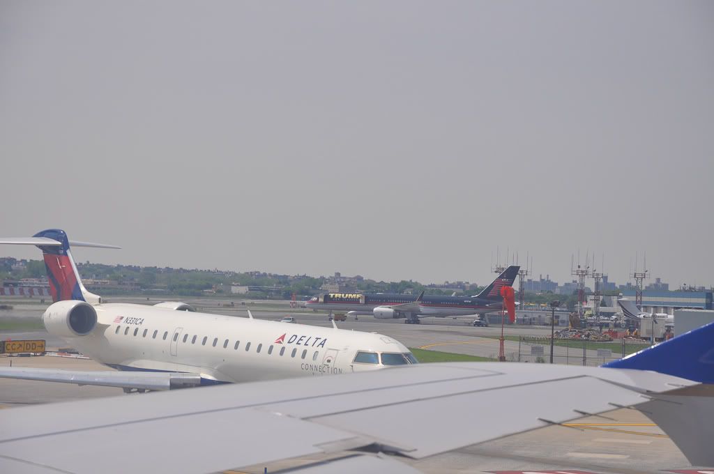 DSC_0082.jpg