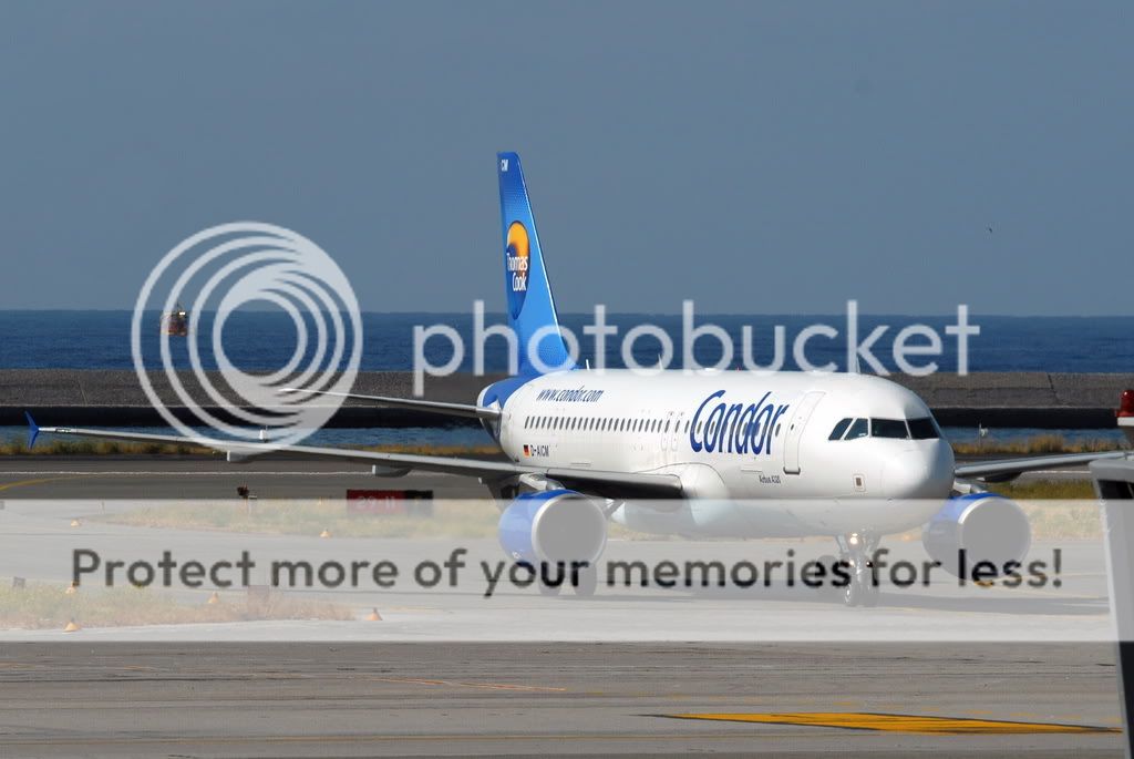 condor2.jpg