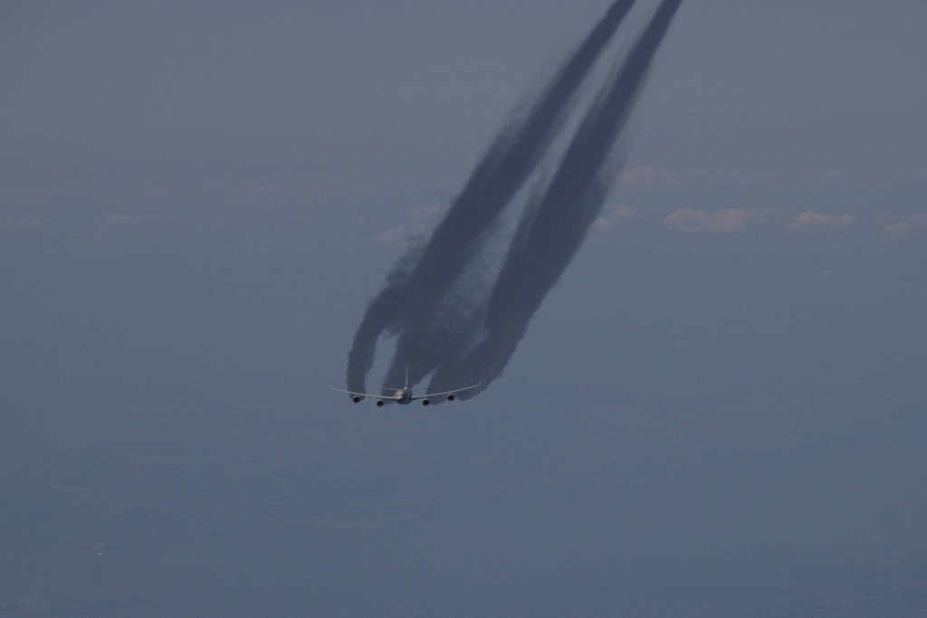 30598445621_c40e900dfc_o.jpg