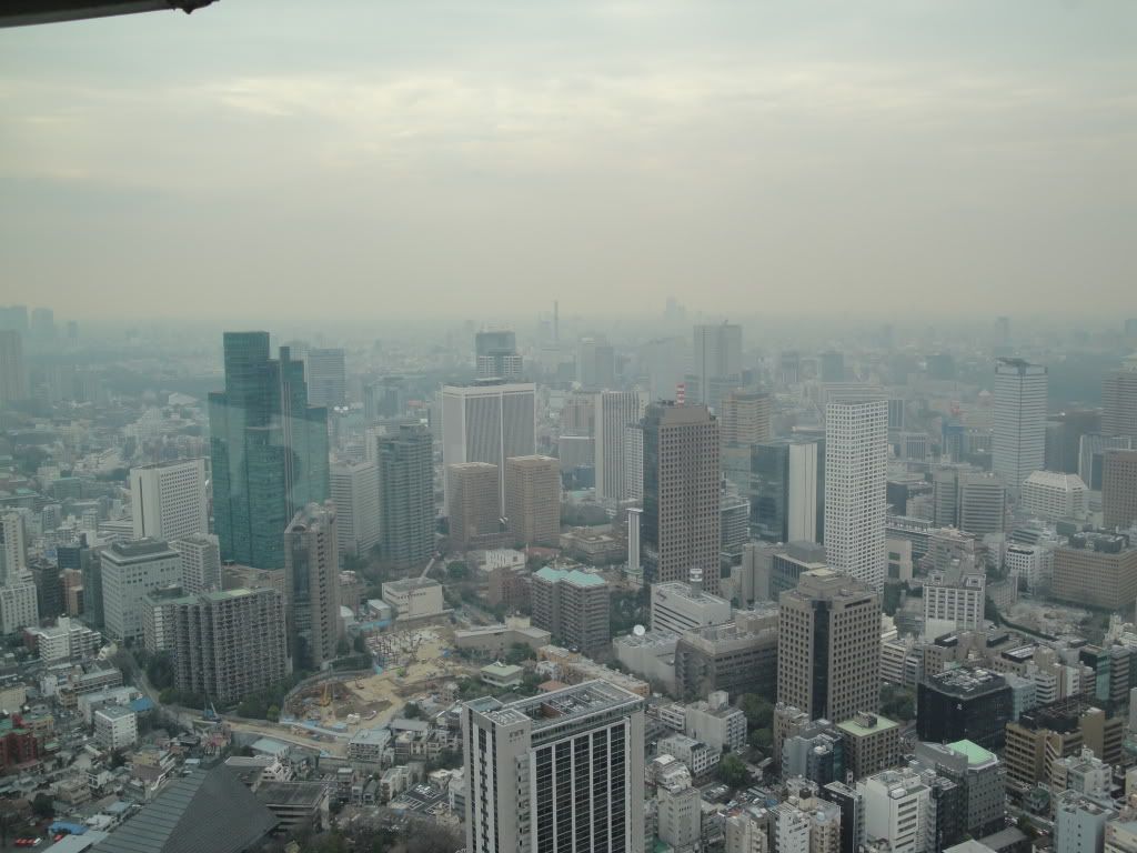 DSC01785.jpg
