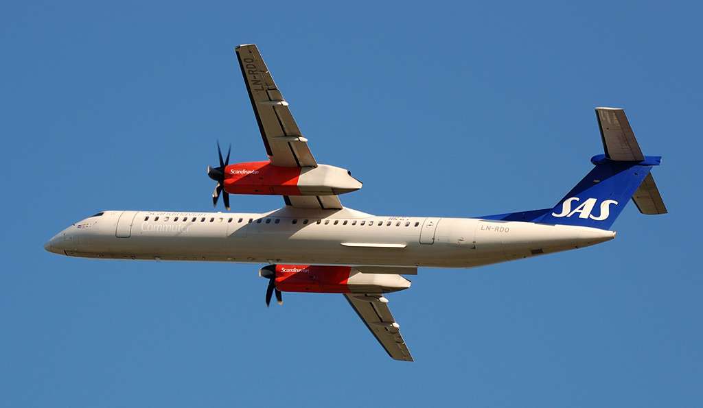 2_dhc800.jpg