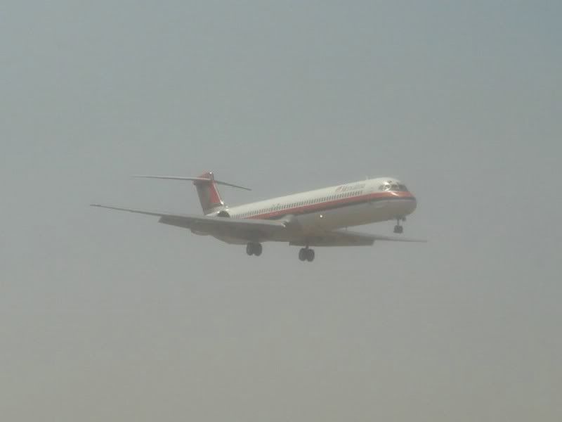DSC01354.jpg