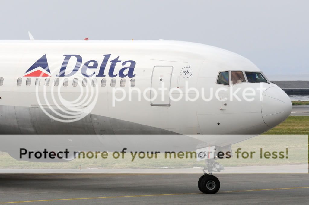 DLcloseup.jpg