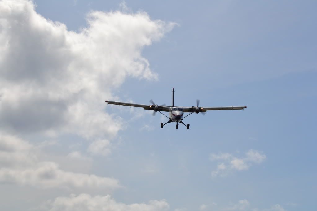 DSC_0378.jpg