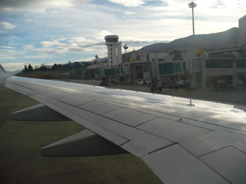 P1000984.jpg
