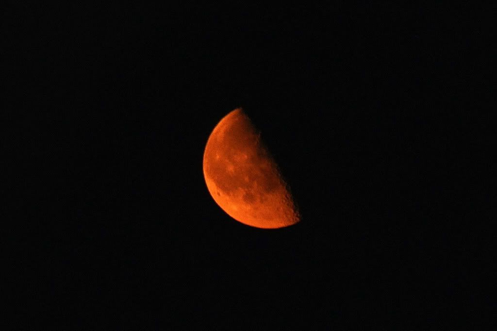 DSC_0392-1.jpg