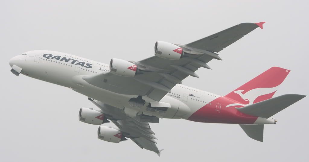 380.jpg
