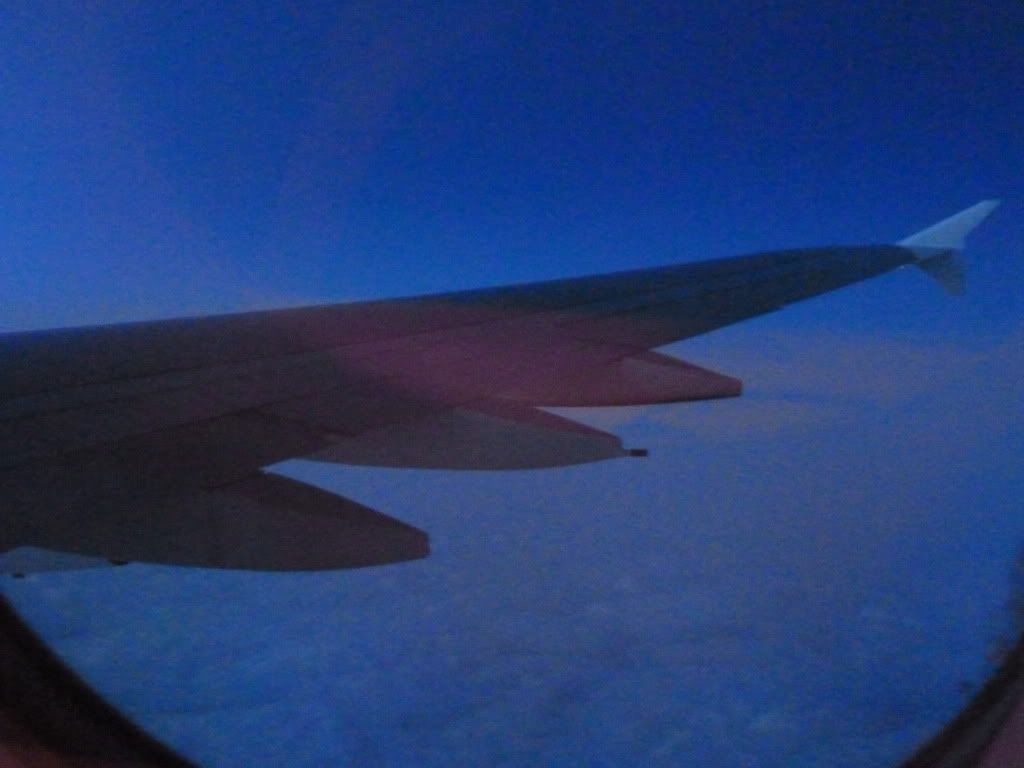 P1000801.jpg