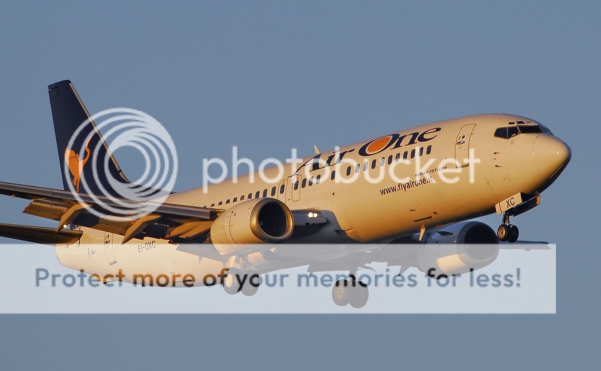 737.jpg
