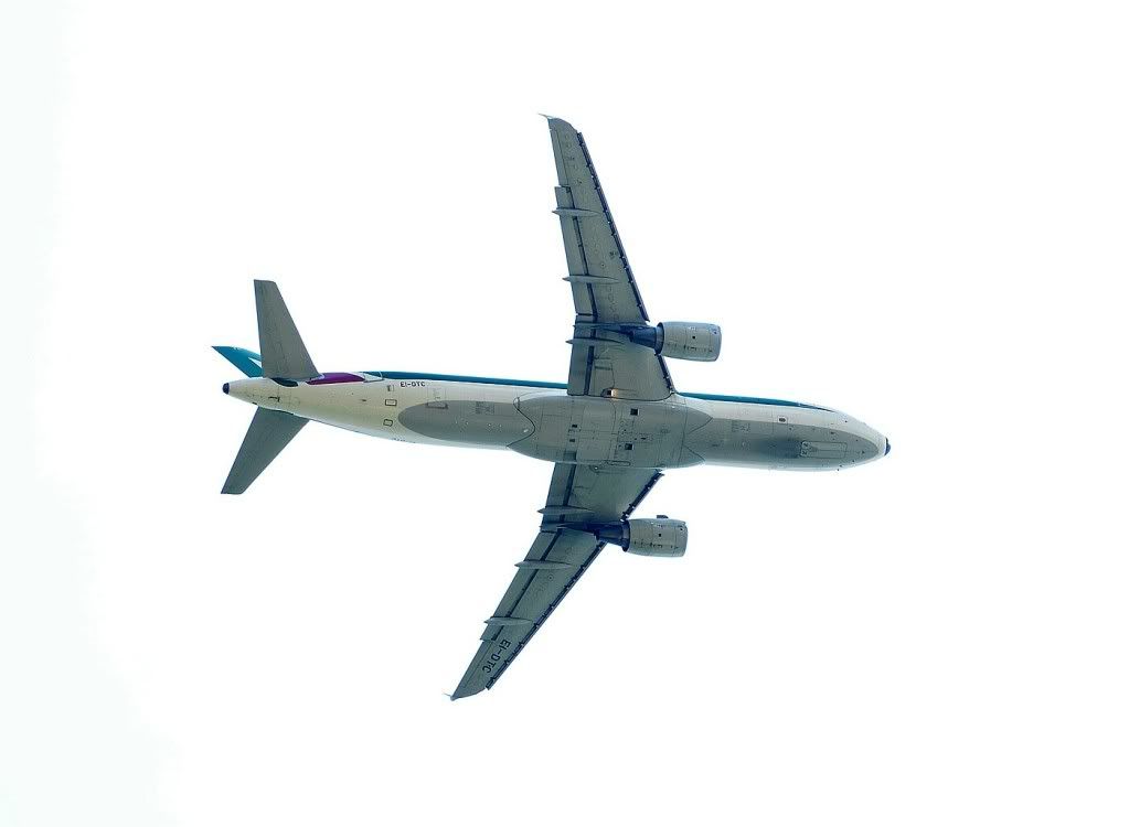 DSC_0124.jpg