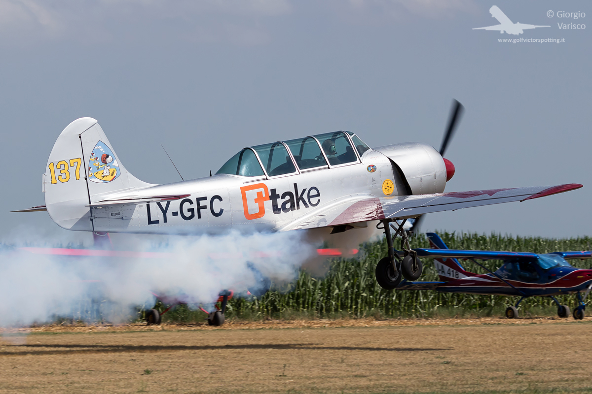 _MG_2993_260622.jpg