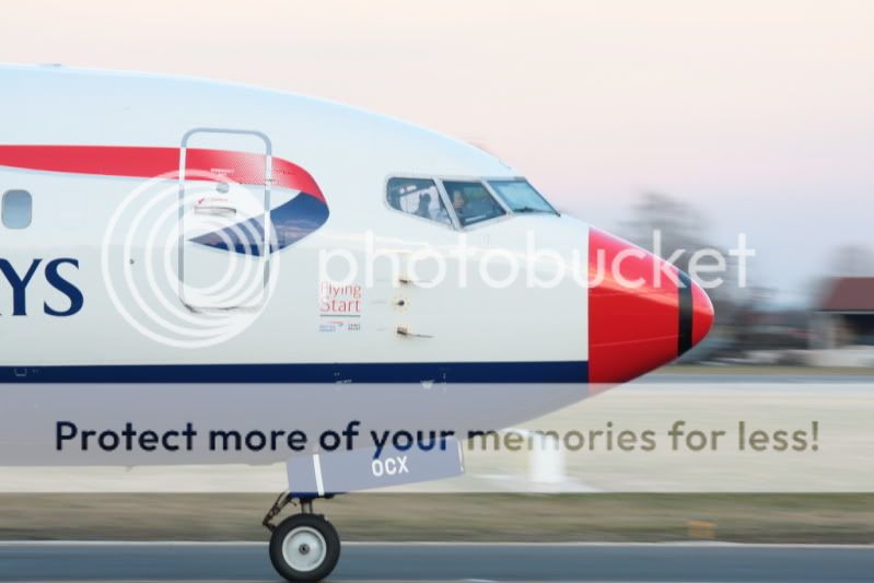 FLY.jpg