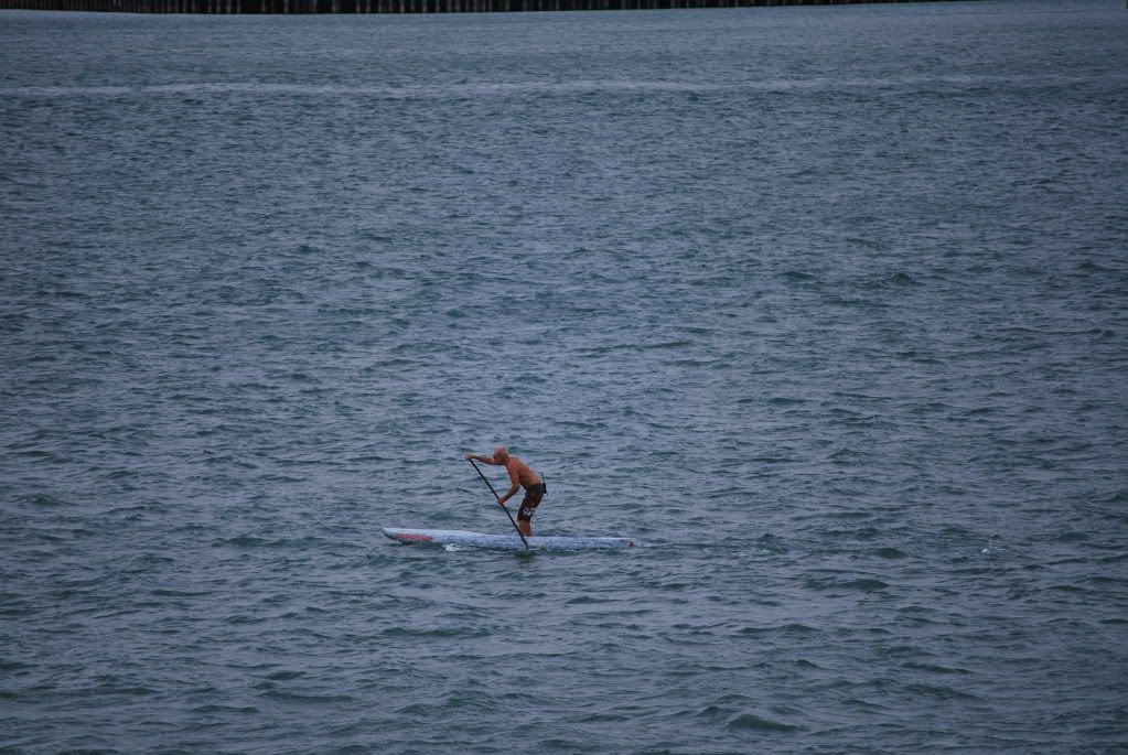 DSC_9684.jpg