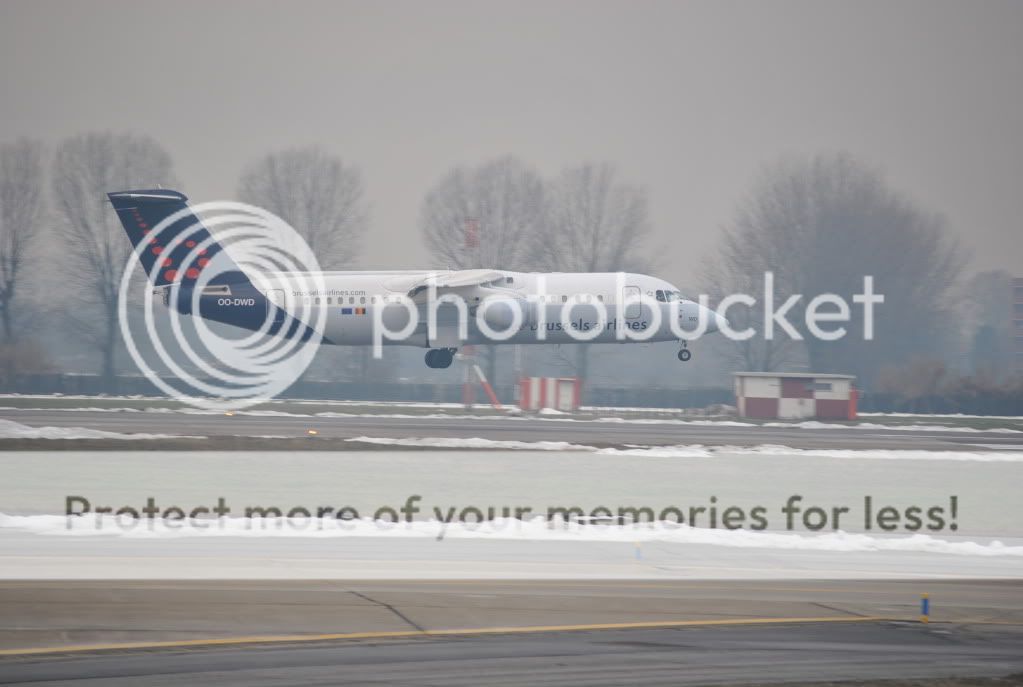 DSC_0155.jpg