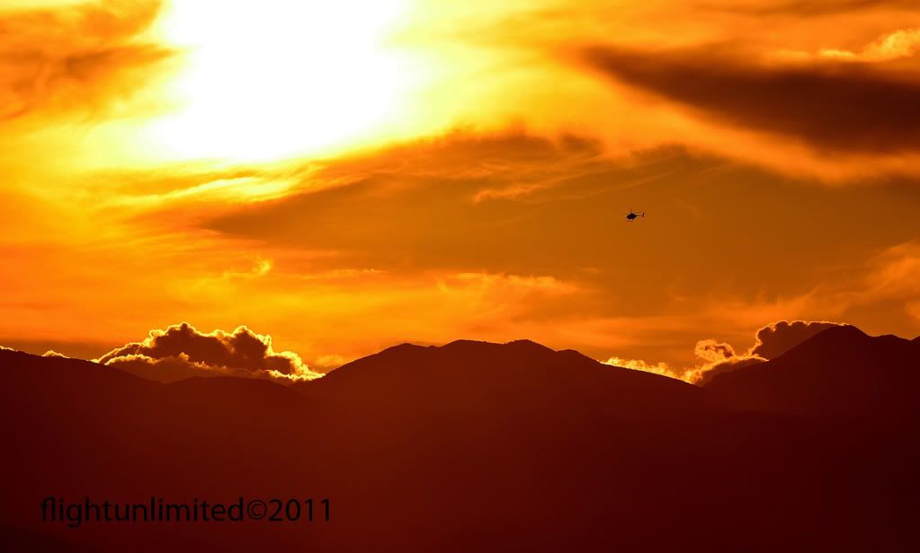 DSC_0311-1.jpg
