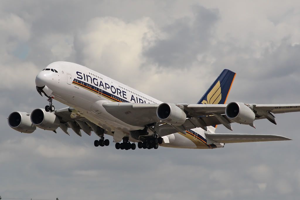 380.jpg