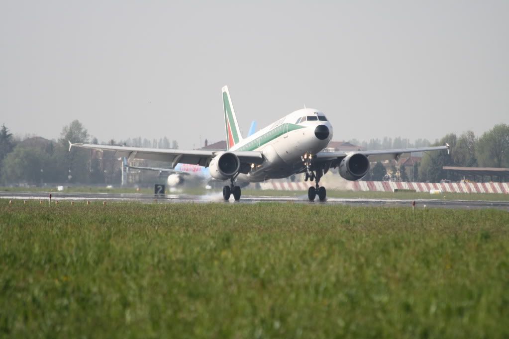 319Alitalia2JPG.jpg