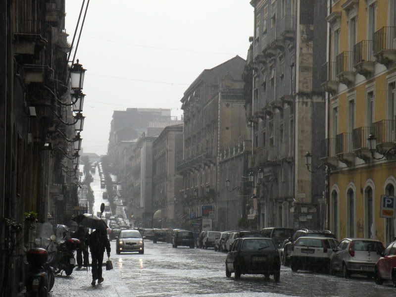 DSCN8275.jpg