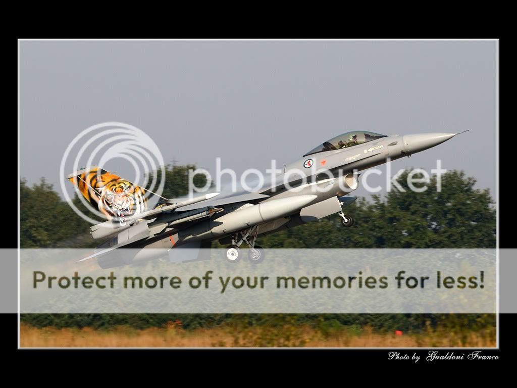 Tiger-Meet-09-08.jpg