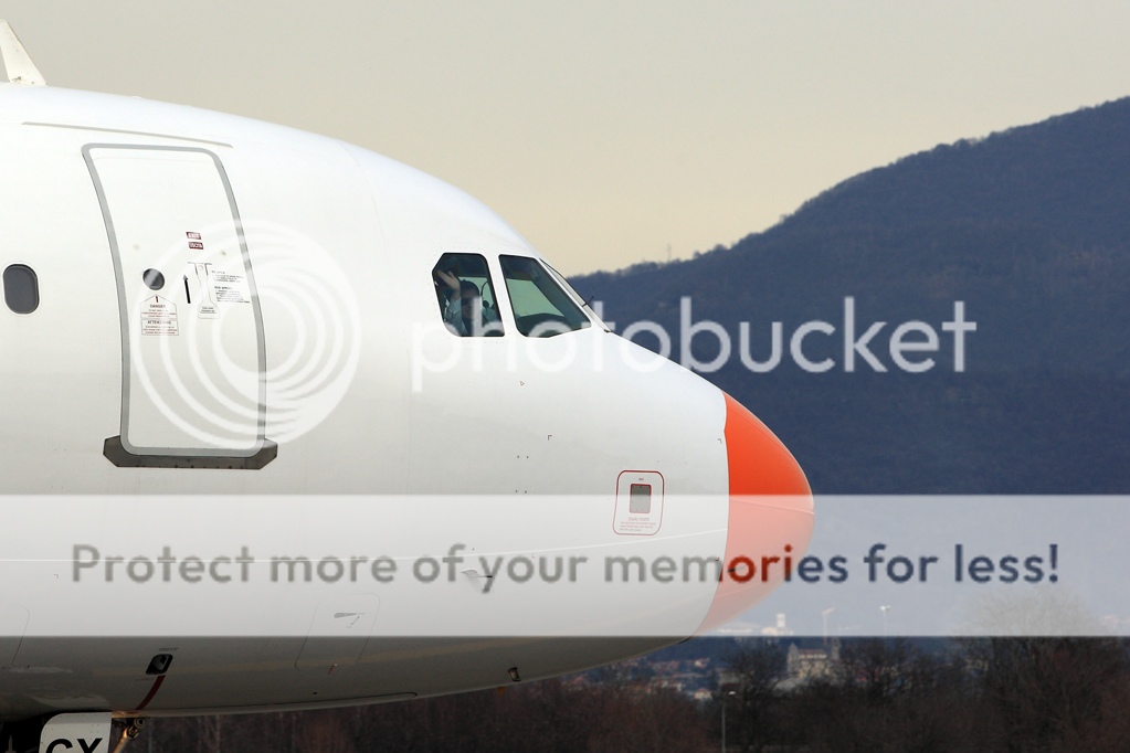 7A5F7993-1.png
