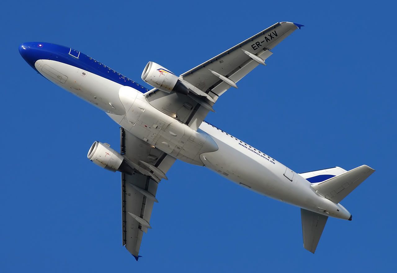 ER-AXV.jpg