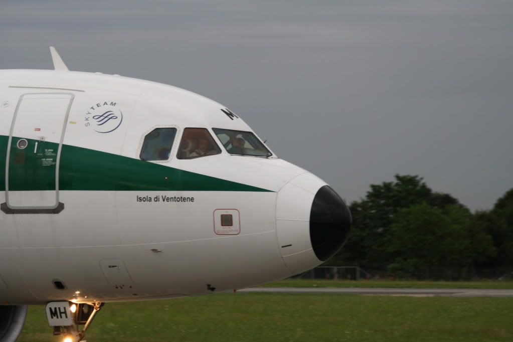 A319Alitalia3copy.jpg
