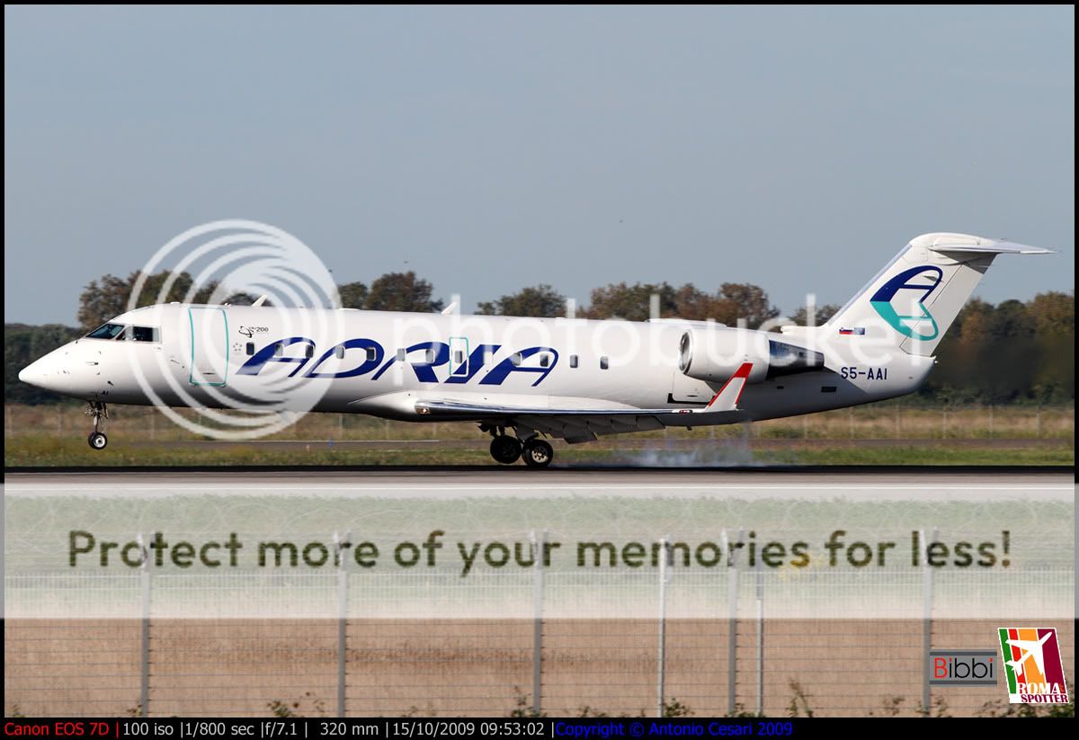 013_s5_aai__BIBBI.jpg