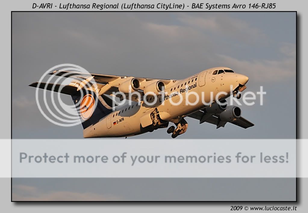 D-AVRI2.jpg
