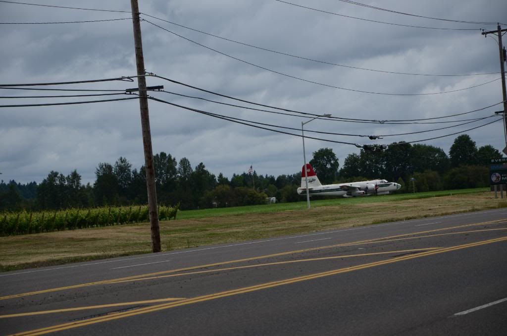 DSC_1633.jpg